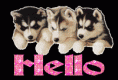 /album/kepgaleria-kezdolap/a627665-1-gif/